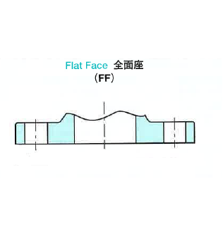 Welding Flanges Flat Face (FF)