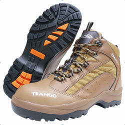 TR-600 Safety Shoes