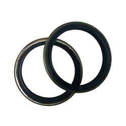 Dust Seal-DSR-B Type