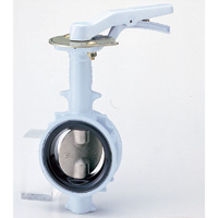 Ductile Iron DJ (SCS13A/EPDM) 16K Butterfly Valve (Lever)