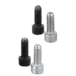 Clamping Bolts