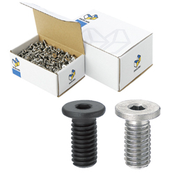 Hex Socket Extra Low Head Cap Screws