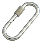 Petit Carabiner (Ring Included)