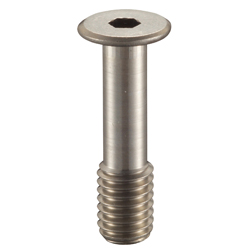 Ultra Low-Profile Hex Socket Head Captive Screw SSCHS