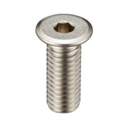 Ultra Low-Profile Head Bolt With Hex Socket SSH