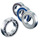 Single Row Deep Groove Ball Bearing (Radial)