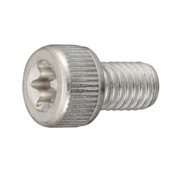 TORX Socket Head Cap Bolt (TORX Cap)