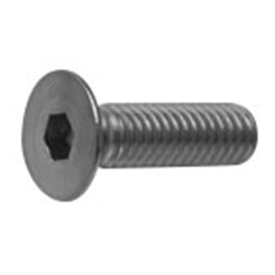 Hex Socket Flat Head Cap Bolt, SSS Standard