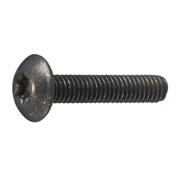 TRX Small Truss Screw