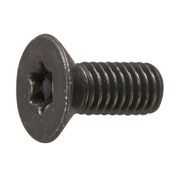 TRX Tamper-proof Flat Head Machine Screw