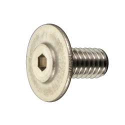 Thin Head (TP Type) Small Screw