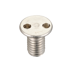 Tamperproof Screw, Two-hole Small Flat Head Screw