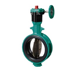 Butterfly Valve 700Z Worm Gear