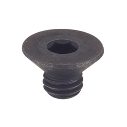 Hex Socket Flat Head Cap Bolt, SSS Standard